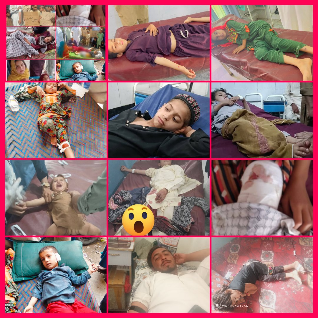 Sharif Afghan tweet media