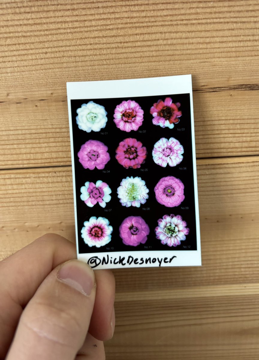 NickDesnoyer's tweet image. Hi I’m Nick, I design flowers using genetic engineering as an art form 🧬 🌹
Here’s my card: