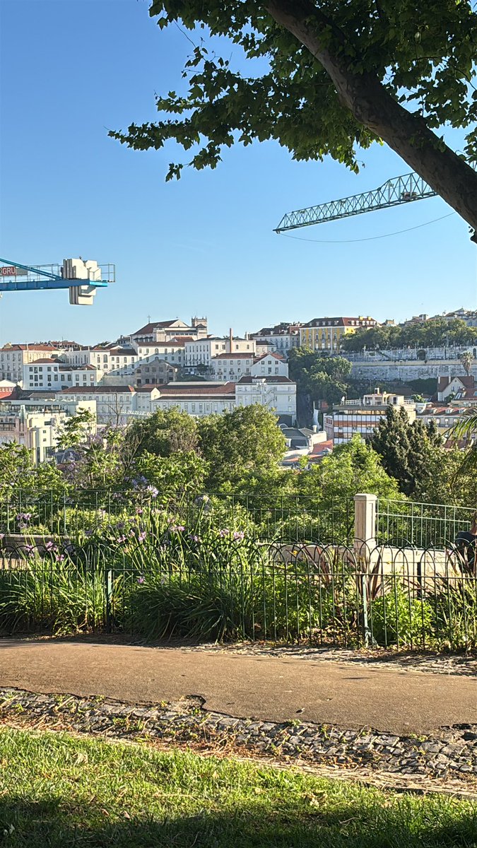 Shelly / s2k2ky tweet media