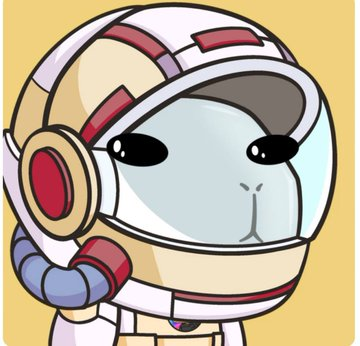 AmbWisdom_'s tweet photo. Word on the blockchain is that @wheeesterDAO’s cookin’ up something wild

Missed the Golden #Wheeee drop?
The launch is almost ready, the traits are a beautiful mess and it’s all lookin’ extra funky.

If you’re tryna flex soon, better start stackin’ that $WHEEE

#TheTrippyHamster https://t.co/RleRKhv1io
