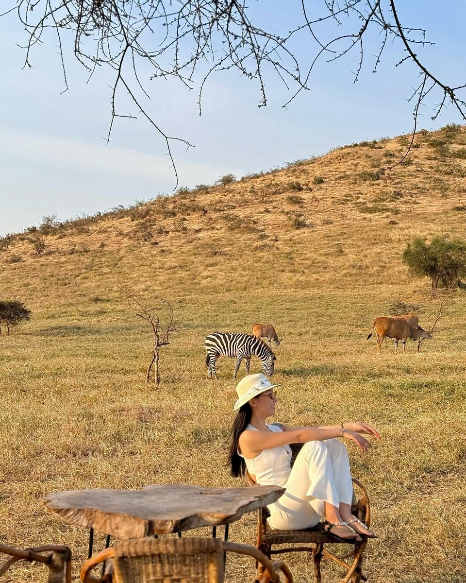 Safari Gateway Ltd tweet media