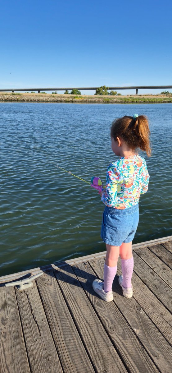 The Water Boards wishes you a great Memorial Day weekend. Over 60 popular waterways were sampled prior to the holiday weekend for harmful algal blooms. When visiting your favorite waterway, please be mindful of current harmful algal bloom conditions. Info: mywaterquality.ca.gov/habs/resources…