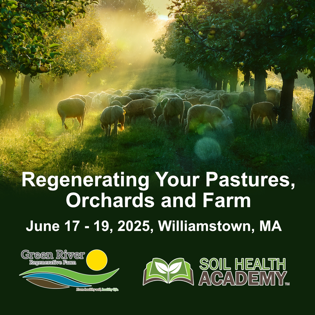 Farm Smarter. Regenerate More. 
Williamstown, MA | June 17-19

Spots are limited – and SCHOLARSHIPS are available 📖 Don’t wait. Invest in your land, your business, and your legacy.