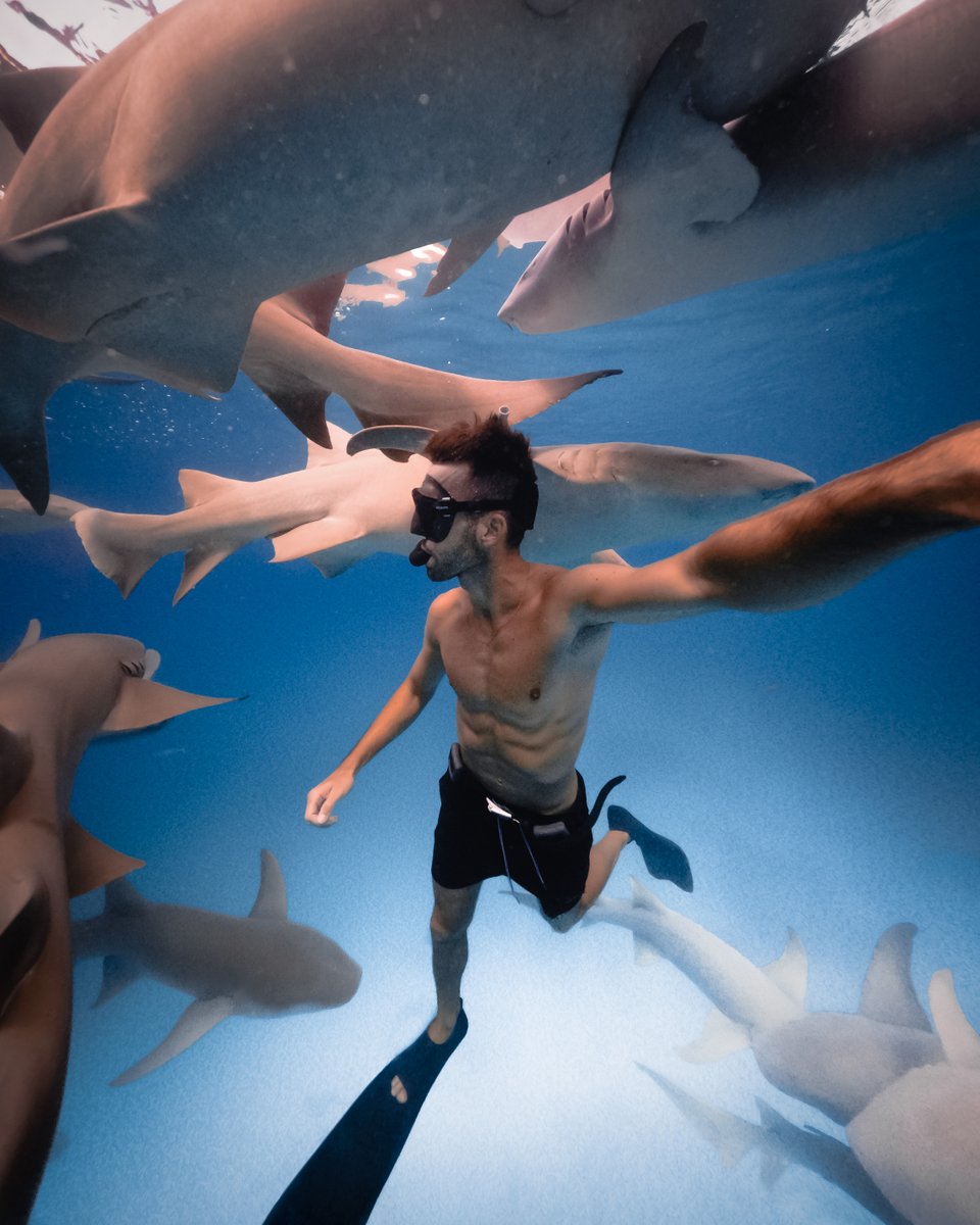 GoPro tweet picture
