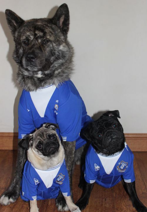 Grand Old Team tweet media