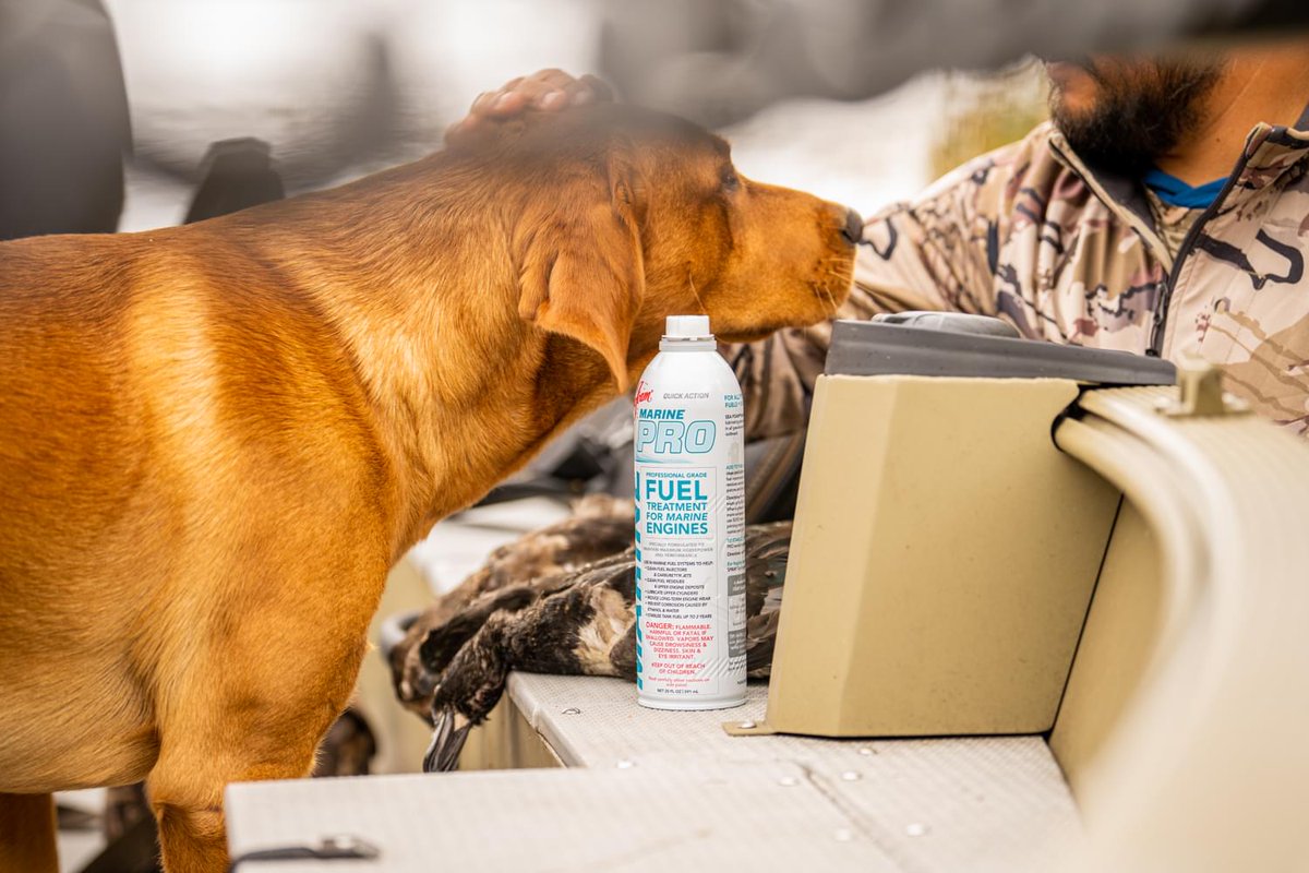 Your best buddy is calmer in the boat with Sea Foam! 😁 Anyone else go fishing with a 4-legged friend? 🙋‍♂️ Have a great weekend! 🤙
✅ SeaFoamWorks.com