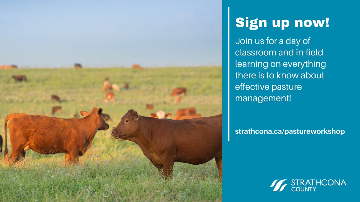 🐑 Join us for a workshop on pasture management! 

Topics include pasture health assessments, how to improve pasture productivity and common pasture weeds and management with speakers from our Agriculture and Environment branch.

Sign up below!
🔗 strathcona.ca/pastureworkshop