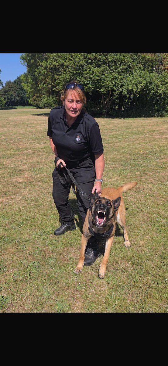 Congratulations to Xena and her handler Bev on another successful annual license. This team have been together for three years working at <a href="/HMPWhitemoor/">HMPWhitemoor</a> and <a href="/HMP_Woodhill/">HMP Woodhill</a> Bev is also the first service ambassador for <a href="/The_NFRSA/">NFRSA</a> something the whole service is proud of. 👏#MOJ #HMPPS