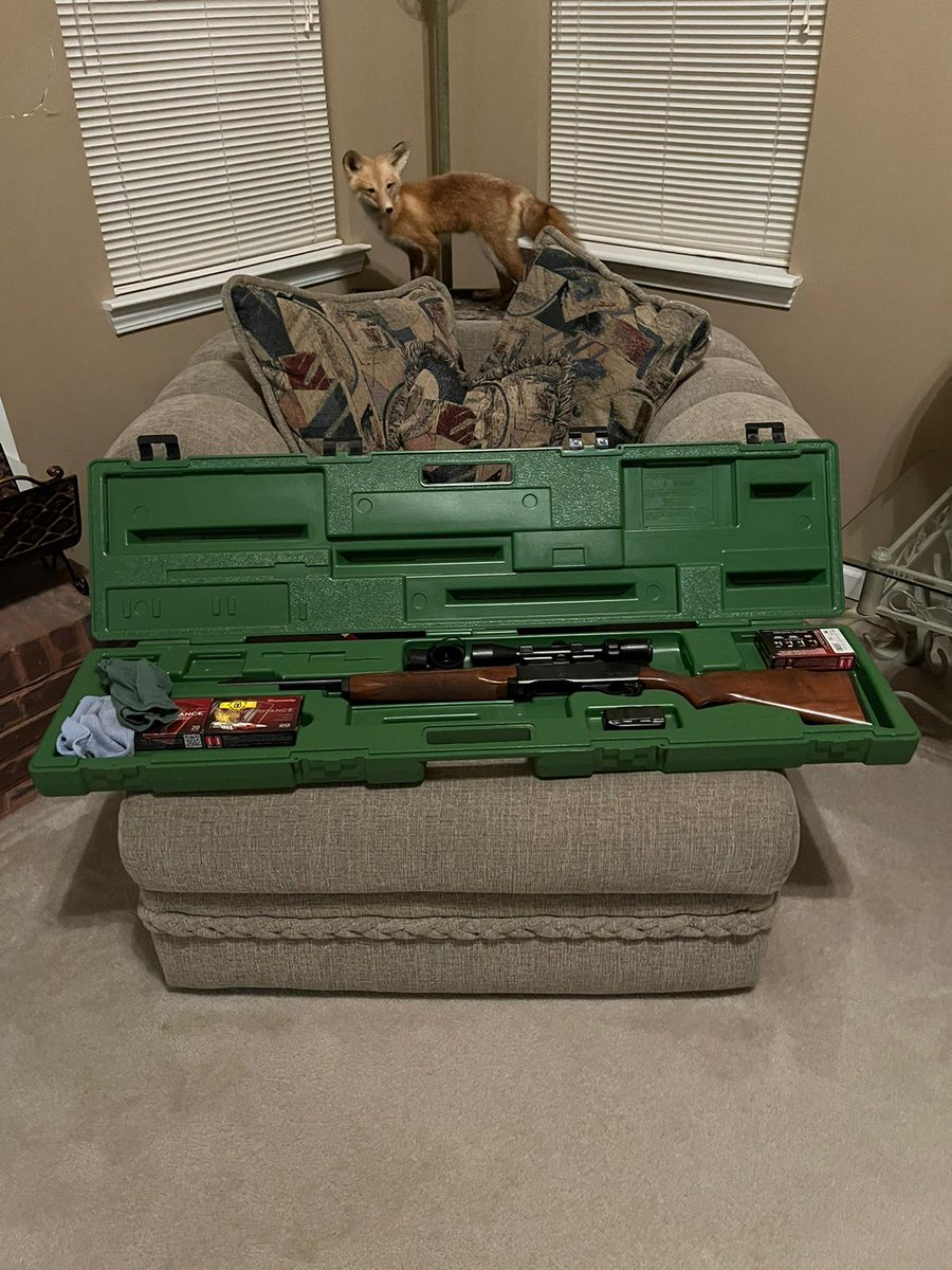 Isabe11a_Grace's tweet image. Some gifts don’t need a long explanation—one photo says it all. My uncle’s hunting gear is officially in action. Nothing beats the joy of seeing a gift so perfectly matched 🎯🦌
#HuntingVibes #GiftGameStrong #OutdoorLife #ActionReady #UncleApproved #WildernessGear #NextLevelGift