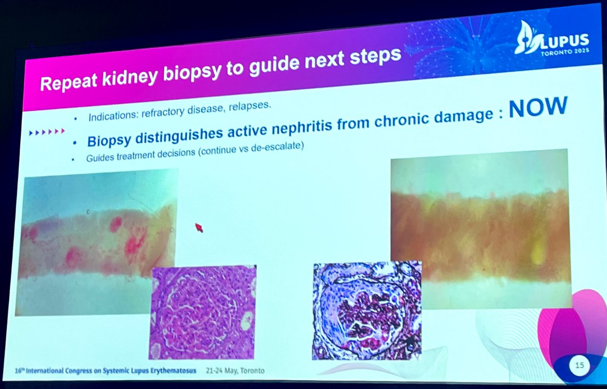 Roxana González tweet media