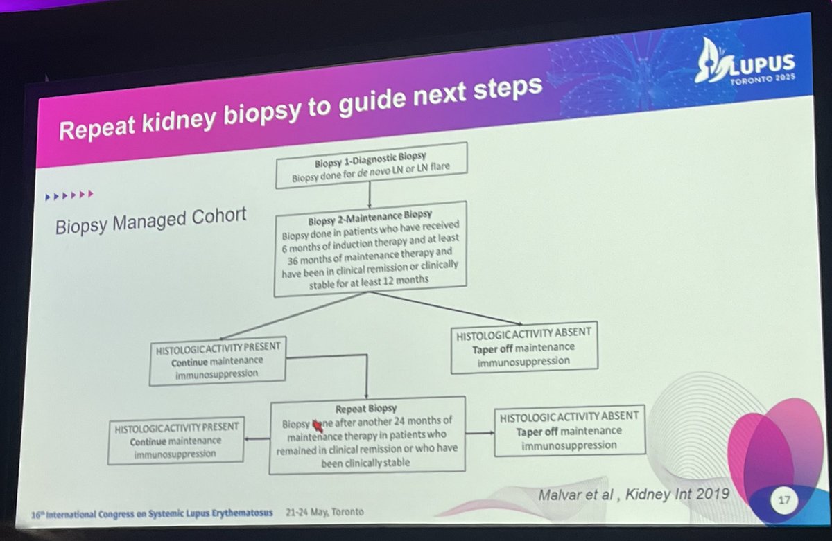 Roxana González tweet media
