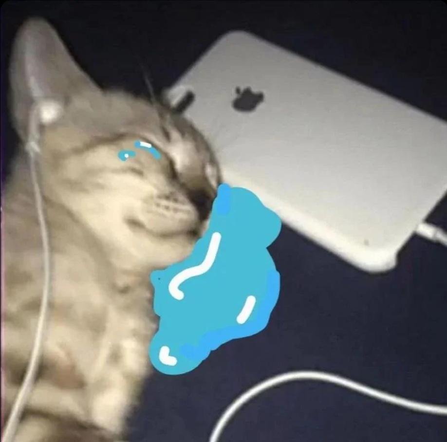 squirrel flower surprise live album