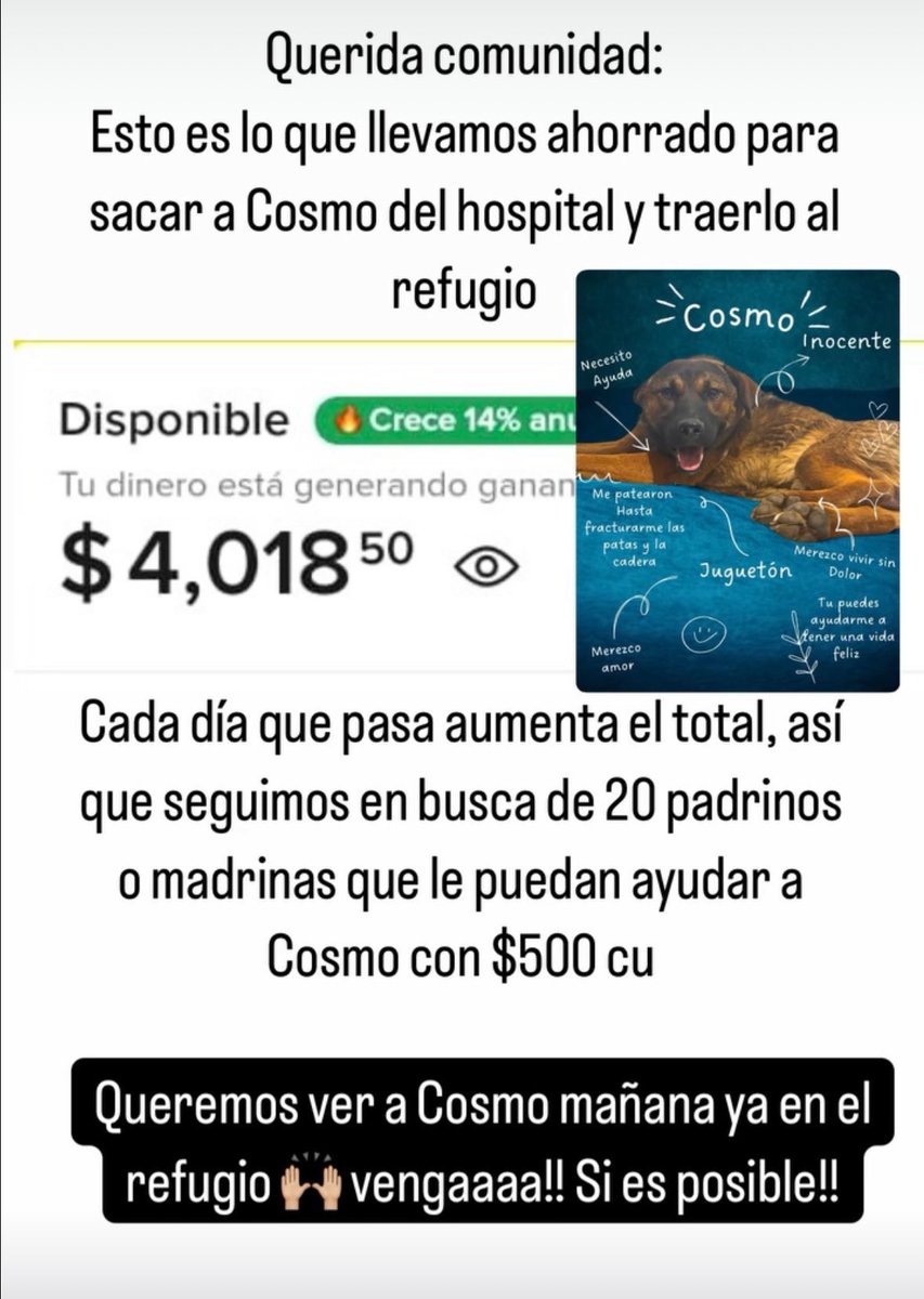 Hasta hoy 23 de Mayo no se ha podido reunir el total de la hospitalización de cosmo!!

Esta cuenta solo seguirá creciendo de no contar con el apoyo de la comunidad Toby, vamos amigos, la cosa es pagar menos y no dejar que las cuentas crezcan, estoy segura que se puede lograr,