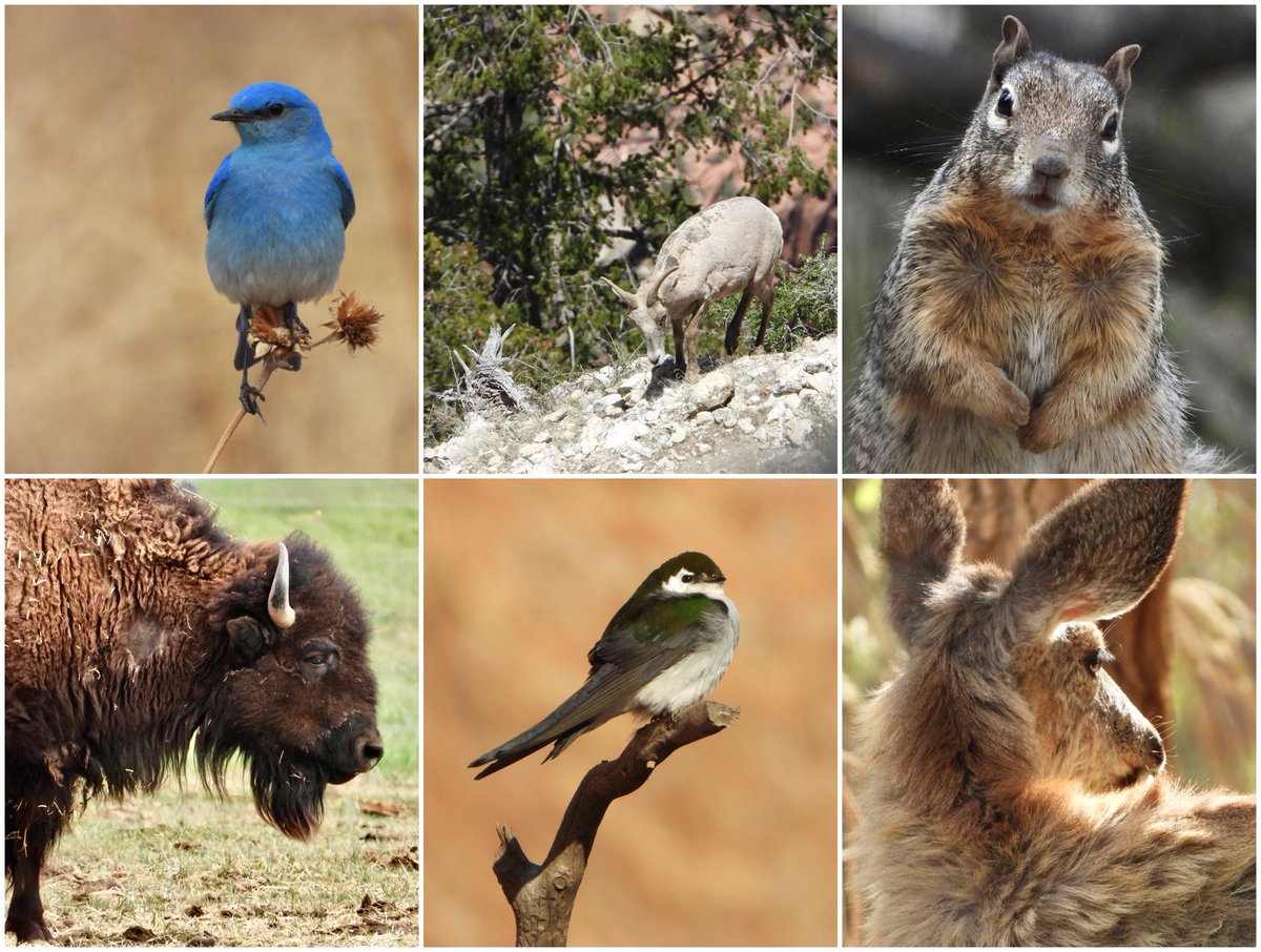 BethDuncan, M.Ed tweet media