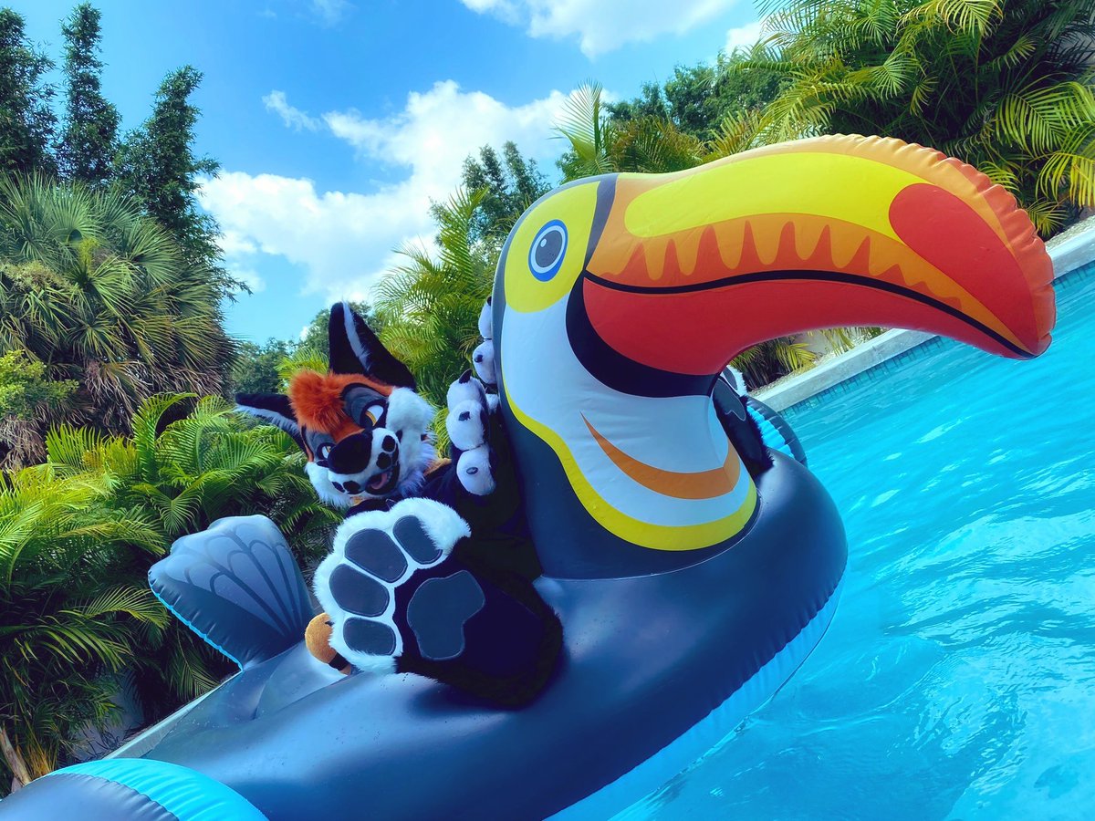Hop aboard! 💦

#FursuitFriday