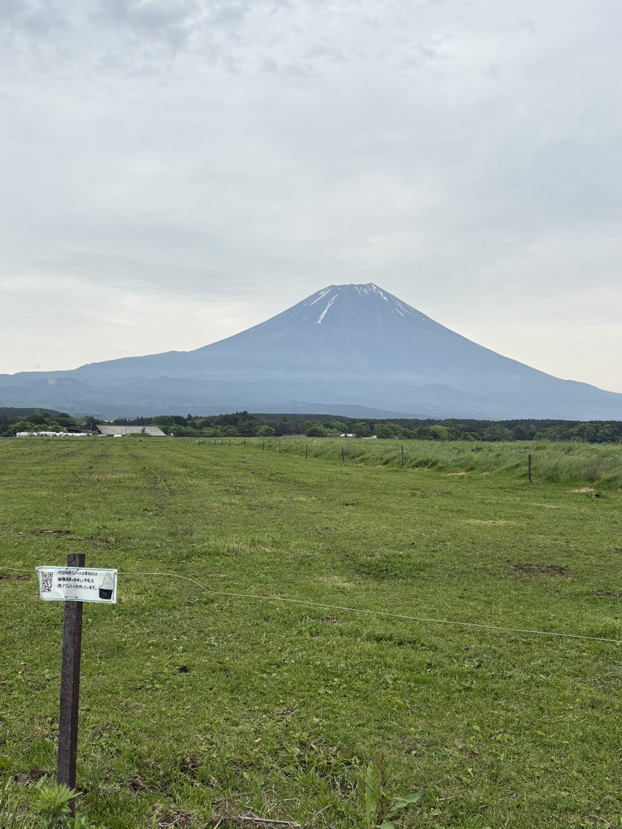 静岡なう