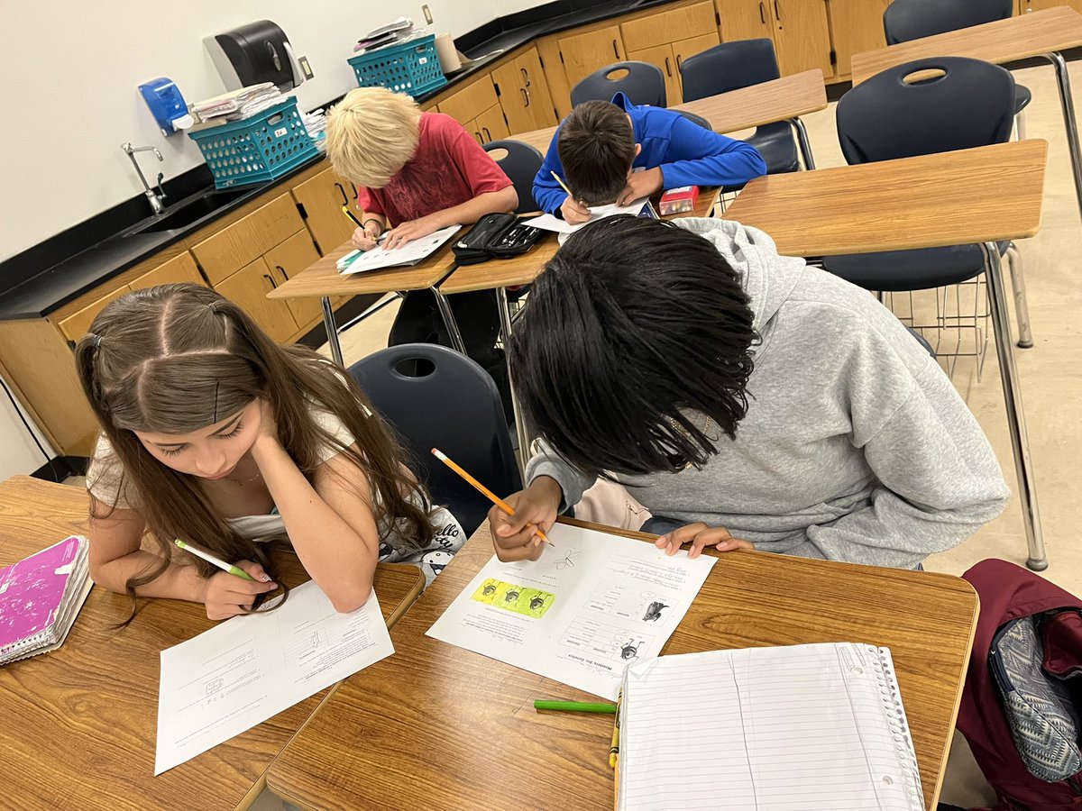 ๐ผ๐ฃ๐๐๐๐ โ. ๐ฝ๐๐ ๐ฃ๐๐ค, ๐. ๐ผ๐. (@enflores_mpms) on Twitter photo Students in <a href="/hymurray32/">Heather Murray</a> and <a href="/klozano_puentes/">Krystal Lozano</a> developed their Punnet Squares today. Awesome discussions on how their monsters or babies will look based on genotype! ๐ฉต๐งก๐งฌ<a href="/Puentes_MS/">Greta June Brasgalla</a> <a href="/sduffy_sisd/">Sonia Duffy</a> <a href="/BLicerio_MPMS/">Bianca Licerio</a> <a href="/SISD_Herrera/">Enrique Herrera</a> #TeamSISD #ALLIN Students in <a href="/hymurray32/">Heather Murray</a> and <a href="/klozano_puentes/">Krystal Lozano</a> developed their Punnet Squares today. Awesome discussions on how their monsters or babies will look based on genotype! ๐ฉต๐งก๐งฌ<a href="/Puentes_MS/">Greta June Brasgalla</a> <a href="/sduffy_sisd/">Sonia Duffy</a> <a href="/BLicerio_MPMS/">Bianca Licerio</a> <a href="/SISD_Herrera/">Enrique Herrera</a> #TeamSISD #ALLIN