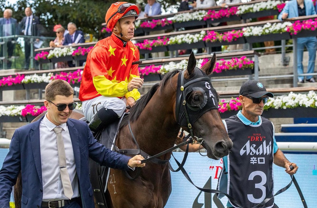 Gai Waterhouse AO (@gaiwaterhouse1) on Twitter photo π£ PLAYING BY THE RULES π£
Our Racing Manager, Emma Reeves, aids us with programming and identifies who she thinks is the best placed horse each weekend π₯
MAYFAIR π‘π΄ Saturday 24th May, Doomben, Race 5 π <a href="/NewgateFarm/">Newgate</a>
Read the full feature here β‘οΈ gaiwaterhouse.com.au/news/61854/plaβ¦ π£ PLAYING BY THE RULES π£
Our Racing Manager, Emma Reeves, aids us with programming and identifies who she thinks is the best placed horse each weekend π₯
MAYFAIR π‘π΄ Saturday 24th May, Doomben, Race 5 π <a href="/NewgateFarm/">Newgate</a>
Read the full feature here β‘οΈ gaiwaterhouse.com.au/news/61854/plaβ¦