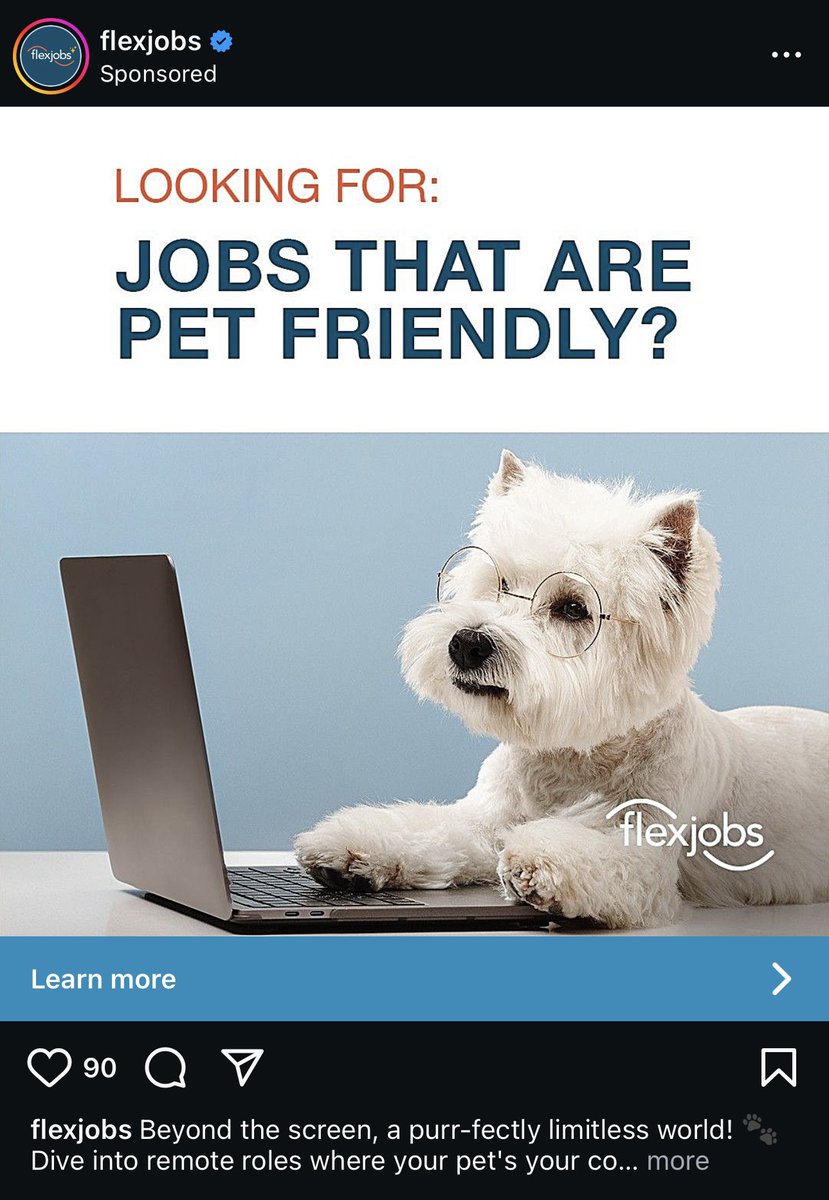 Well Pals, I’m working on my resume