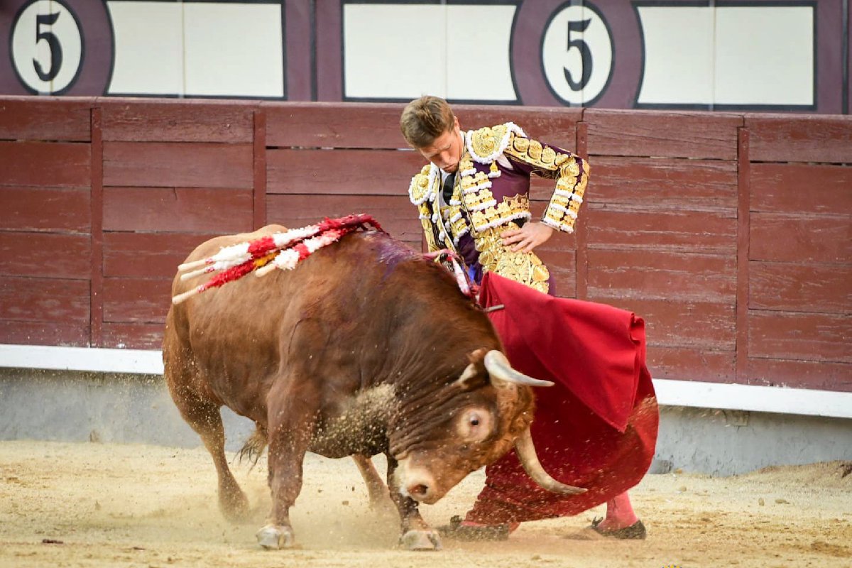 Borja Jiménez, the current rising star of bullfighting