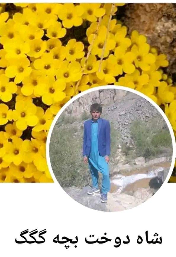 عکس اولین اکانت فیسبوک قرقیشخ را پیدا کردم 
البته او زمان قرقیشخ بلد نبود اکانت فیسبوک درست کند از ملا صمد کمک گرفته بود 
<a href="/Nasrull97774912/">قرقیشخ</a> 
<a href="/mllhsamad/">ملا صمد</a>