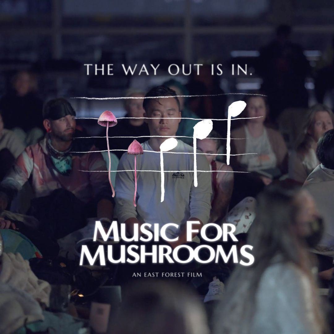 📣 FREE SCREENING! Our dear friend East Forest created Music for Mushrooms, a documentary about the transformative power of #music &amp; #psychedelics to heal and guide us through tough times. Watch FREE before June 2nd—don’t miss this life-changing film! eastforest.org/mind