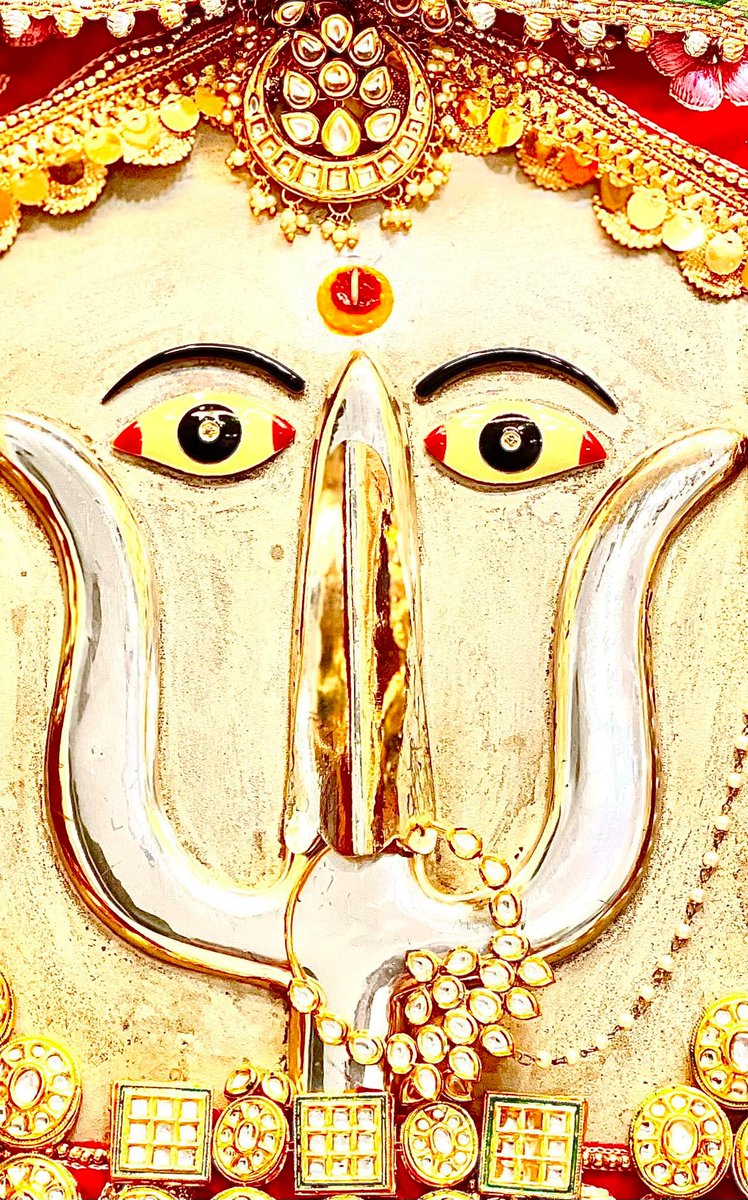 जय दादी की जय जय श्री दादी जी की भाई जी राणी सत्यै नमो नमः