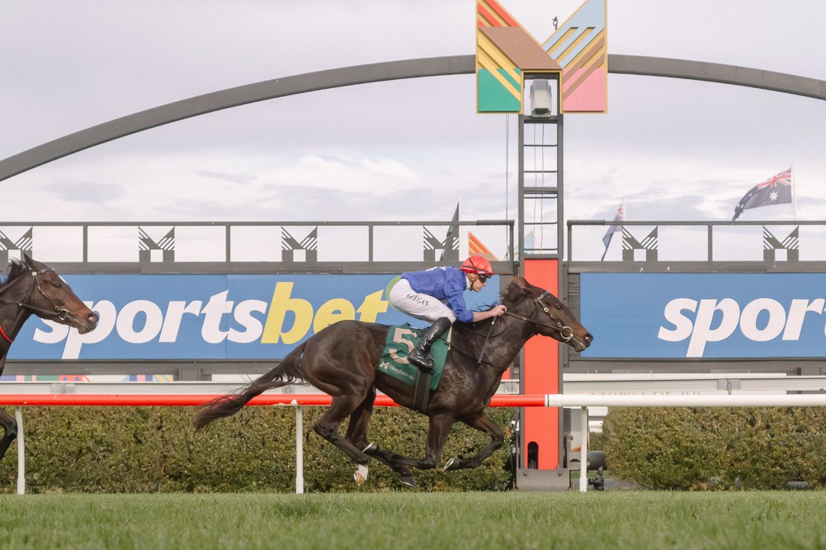 PRIME THOROUGHBREDS (@joefromprime) on Twitter photo Racing Today Flattered, Gold Pattern and Seonee <a href="/MelbRacingClub/">Melbourne Racing Club</a> Sandown and Flying Embers <a href="/royalrandwick/">Royal Randwick</a> for @Patrick and <a href="/mj_payne/">Michelle Payne</a> and <a href="/JTRacingRwik/">John P Thompson</a> Four lovely girls combined purchase price $380k Won 17 races and $1,052,605!!! Value $1,000,000 plus <a href="/mmsnippets/">Magic Millions</a> <a href="/RSN927/">RSN Racing & Sport</a> <a href="/Racing/">Racing.com</a> Racing Today Flattered, Gold Pattern and Seonee <a href="/MelbRacingClub/">Melbourne Racing Club</a> Sandown and Flying Embers <a href="/royalrandwick/">Royal Randwick</a> for @Patrick and <a href="/mj_payne/">Michelle Payne</a> and <a href="/JTRacingRwik/">John P Thompson</a> Four lovely girls combined purchase price $380k Won 17 races and $1,052,605!!! Value $1,000,000 plus <a href="/mmsnippets/">Magic Millions</a> <a href="/RSN927/">RSN Racing & Sport</a> <a href="/Racing/">Racing.com</a>