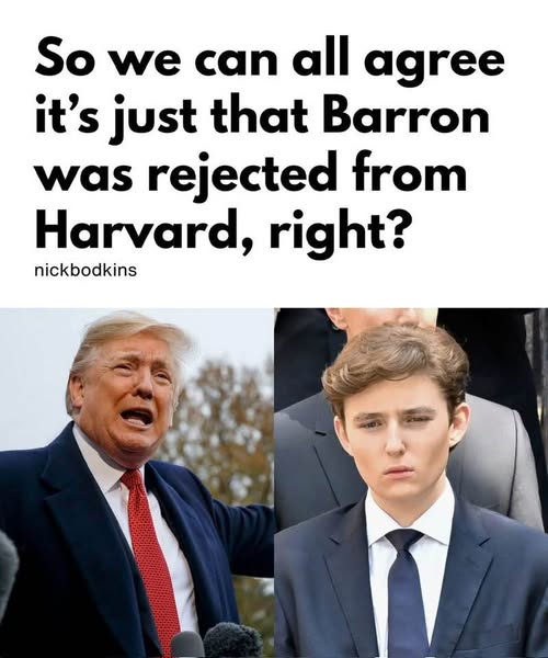 DonkConnects โป๏ธโข (@donkoclock) on Twitter photo MEGABOOST
Harvard
<a href="/thegreatgig8/">The Great Gig in the Sky</a>
<a href="/CuriousCheeze/">CuriousCheeze</a>
<a href="/AZ_Brittney/">๐Brittney๐</a>
<a href="/RozLuvly/">Luvly๐ฅ ๐บ๐ธ๐ฆ
๐บ๐ฆ</a>
<a href="/ClassAwitch/">๐งฆ๐ฆ๐JaneyLou ๐๐ฆ๐งฆ</a>
<a href="/dmischo/">Debbie Mischo</a>
<a href="/DebbieDem3/">Debbie ๐ฆ๐งโก๏ธ๐บ๐ธ๐ฎ๐ฑ๐ชฌ๐บ๐ธ๐บ๐ฆ๐ป๐ฆ
</a>
<a href="/1stonestruck/">David Tam</a>
<a href="/LePapillonBlu2/">แฐแฉฦณแแฉ</a>
<a href="/Serendipity7845/">Viva Democracy ๐บ๐ธ</a>
<a href="/KaitlinFish8/">The Bitch Is Back</a>
<a href="/chriskay909/">KAY ๐บ๐ฒ ๐จ๐ฆ ๐ ๐ณ๏ธโ๐ ๐บ๐ฆ</a>
<a href="/AWodz1234/">ACW1234</a>
<a href="/TracysSun/">Tracy Ealy</a>
<a href="/ivanhoecheek/">Ivanhoecheek</a>
<a href="/patrickinUT/">Patrick P</a>
<a href="/BackAvatar/">Avatar ๐๐ฝ @backavatar on ๐ฆ</a>
<a href="/ElPatoloco39/">El Pato</a>
<a href="/surflbc/">darren bishop</a>
<a href="/ivancic_rosa/">MUFC1LADY</a> MEGABOOST
Harvard
<a href="/thegreatgig8/">The Great Gig in the Sky</a>
<a href="/CuriousCheeze/">CuriousCheeze</a>
<a href="/AZ_Brittney/">๐Brittney๐</a>
<a href="/RozLuvly/">Luvly๐ฅ ๐บ๐ธ๐ฆ
๐บ๐ฆ</a>
<a href="/ClassAwitch/">๐งฆ๐ฆ๐JaneyLou ๐๐ฆ๐งฆ</a>
<a href="/dmischo/">Debbie Mischo</a>
<a href="/DebbieDem3/">Debbie ๐ฆ๐งโก๏ธ๐บ๐ธ๐ฎ๐ฑ๐ชฌ๐บ๐ธ๐บ๐ฆ๐ป๐ฆ
</a>
<a href="/1stonestruck/">David Tam</a>
<a href="/LePapillonBlu2/">แฐแฉฦณแแฉ</a>
<a href="/Serendipity7845/">Viva Democracy ๐บ๐ธ</a>
<a href="/KaitlinFish8/">The Bitch Is Back</a>
<a href="/chriskay909/">KAY ๐บ๐ฒ ๐จ๐ฆ ๐ ๐ณ๏ธโ๐ ๐บ๐ฆ</a>
<a href="/AWodz1234/">ACW1234</a>
<a href="/TracysSun/">Tracy Ealy</a>
<a href="/ivanhoecheek/">Ivanhoecheek</a>
<a href="/patrickinUT/">Patrick P</a>
<a href="/BackAvatar/">Avatar ๐๐ฝ @backavatar on ๐ฆ</a>
<a href="/ElPatoloco39/">El Pato</a>
<a href="/surflbc/">darren bishop</a>
<a href="/ivancic_rosa/">MUFC1LADY</a>