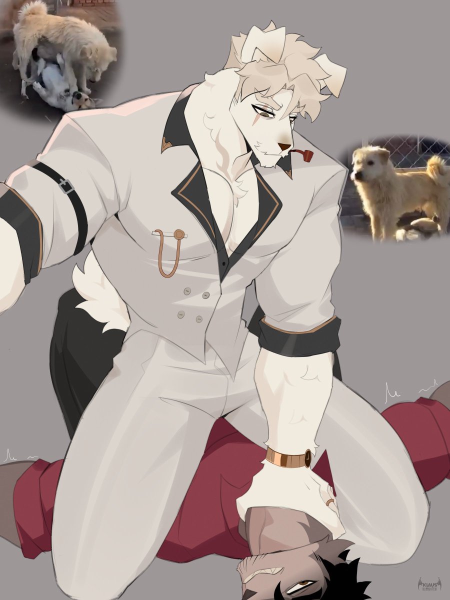 The boss is here

I love the aura of this dog named "King Charles"