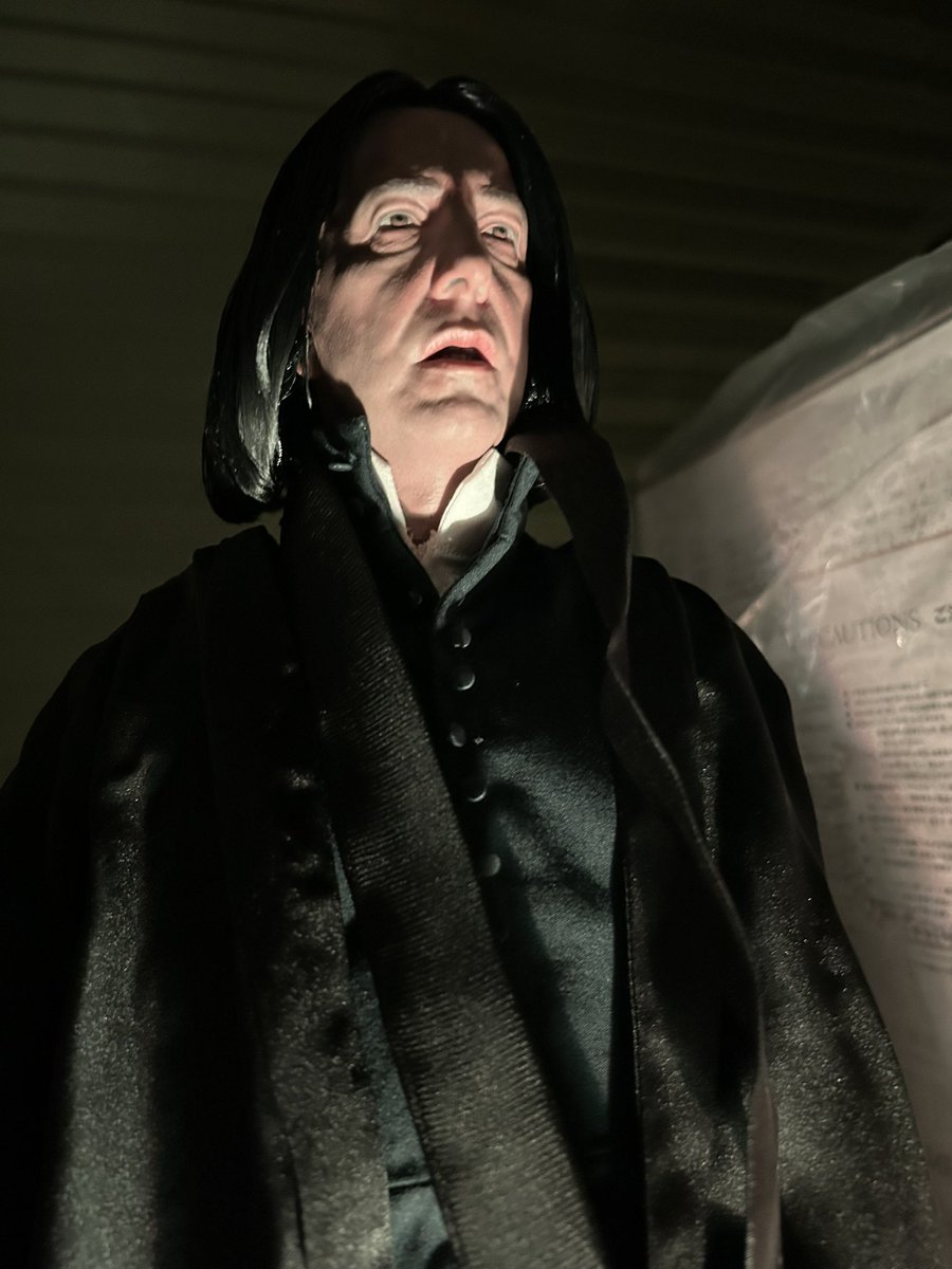 doyam66's tweet photo. #スネイプ先生 
#snape https://t.co/BdCU6eadAP