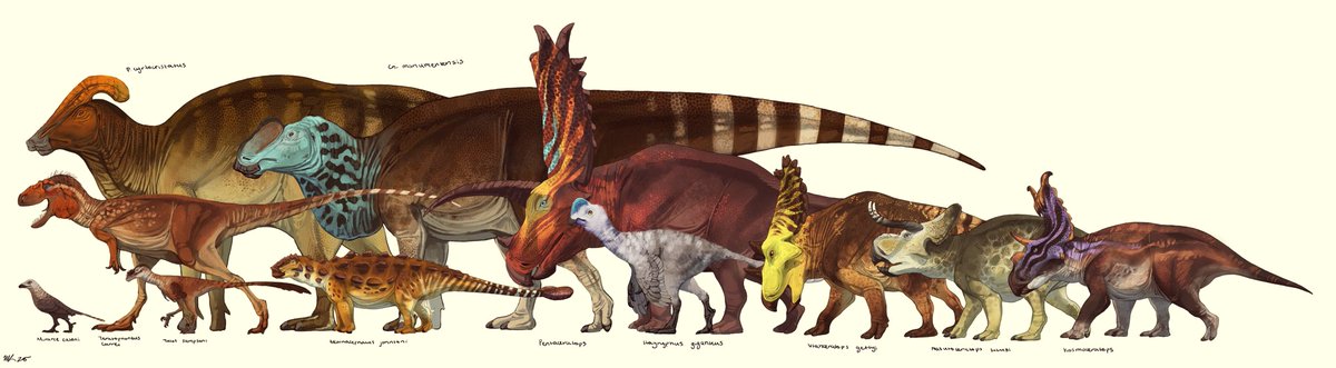 A selection of Kaiparowits critters, just for fun