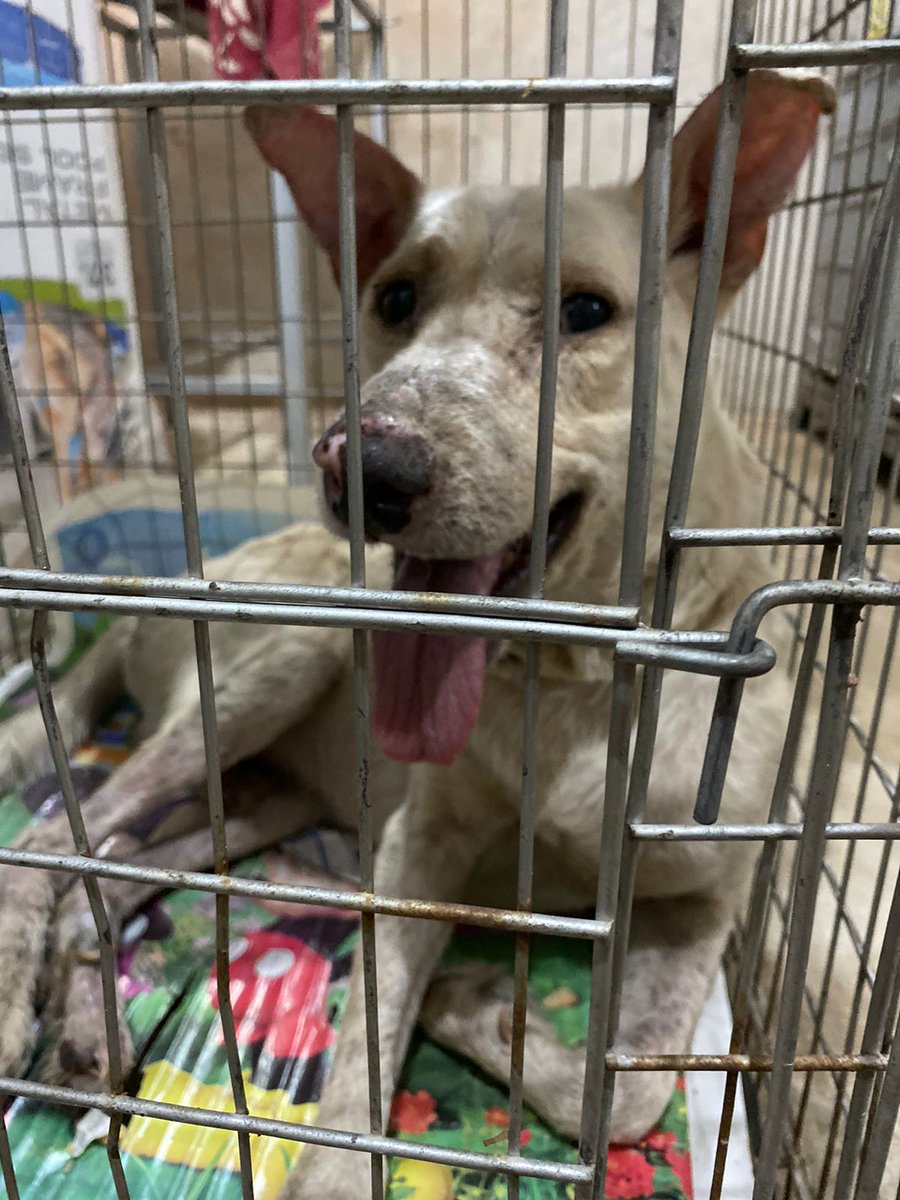 Cualquier aporte suma para Toby.. por el hay que pagar 400.000 y solo entro 70.000... cualquier aporte suma tíoz.. mi alias es mi CI 2446636...