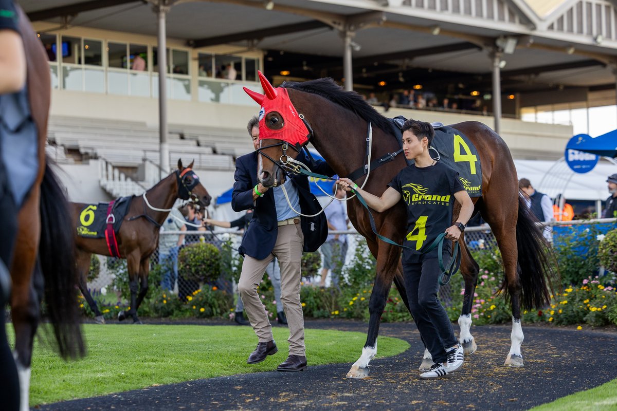 Murray Bridge GH | May 24

Ballon d’Or, Cullen Skink, Mazovia, Russian Bobshark, Hajra &amp; Sachem all step out today in their respective races. All horses have prepared well for today's assignments.

Good luck to all of the connections.