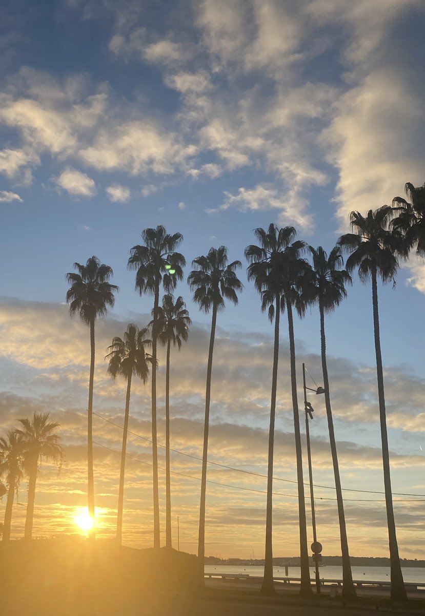 l_bottero's tweet image. #Bleu California Dream 💙 #Cannes