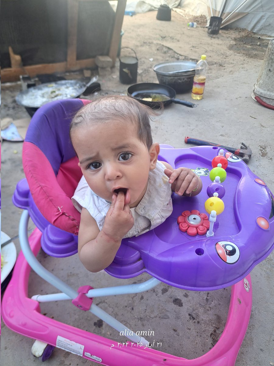 Alia ameen tweet media