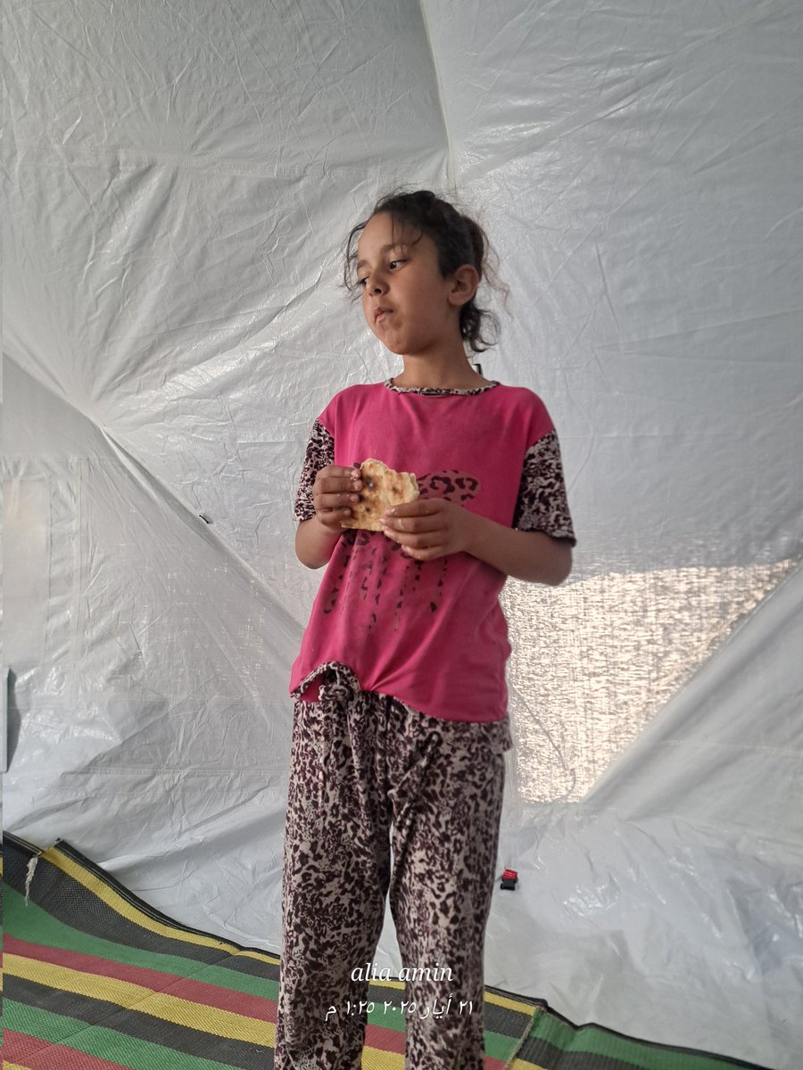 Alia ameen tweet media