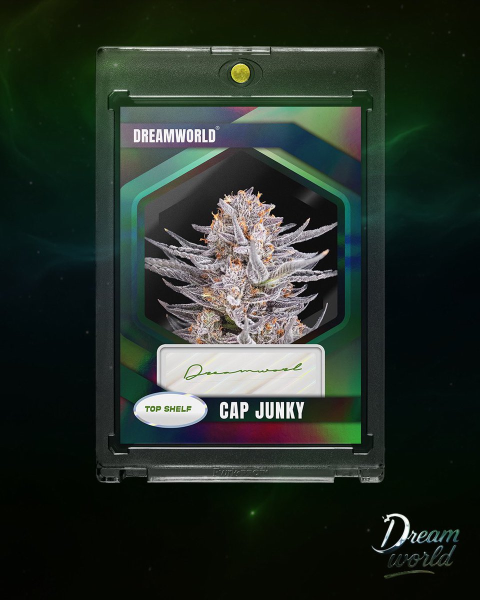 CAP JUNKY X DREAMWORLD