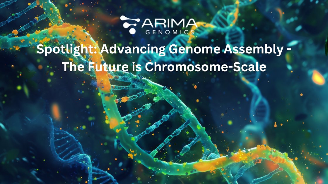 Arima Genomics (@arimagenomics) on Twitter photo We’re excited to see <a href="/SEQanswers/">SEQanswers</a>' spotlight recent advances in genome assembly—and proud to have our own Ibrahim Jivanjee, Senior Director of Marketing & Product Management, quoted in the article! Ibrahim shared how our #3DGenomics and Hi-C technologies are enabling We’re excited to see <a href="/SEQanswers/">SEQanswers</a>' spotlight recent advances in genome assembly—and proud to have our own Ibrahim Jivanjee, Senior Director of Marketing & Product Management, quoted in the article! Ibrahim shared how our #3DGenomics and Hi-C technologies are enabling
