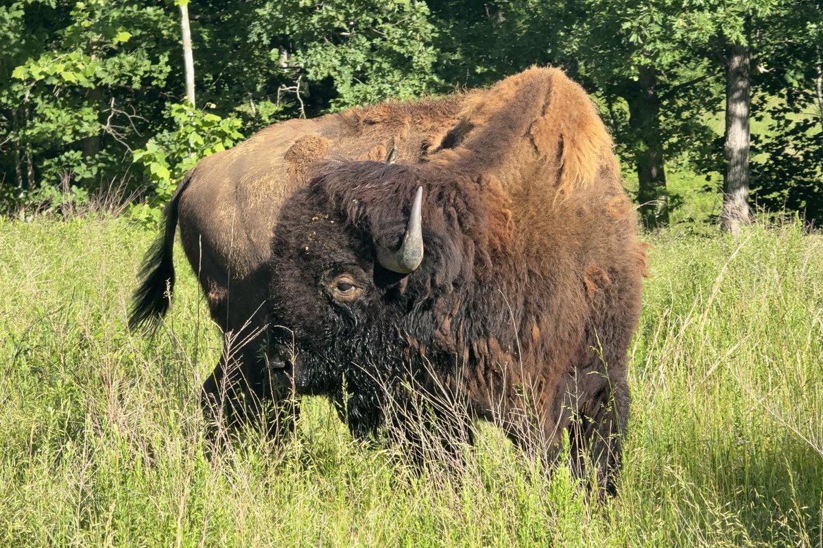 Sam Oldenburg tweet media