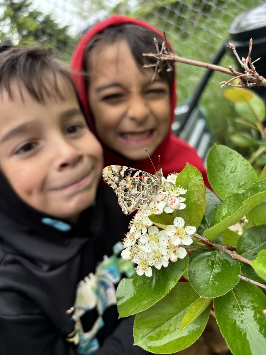 Ms. Panetta tweet media