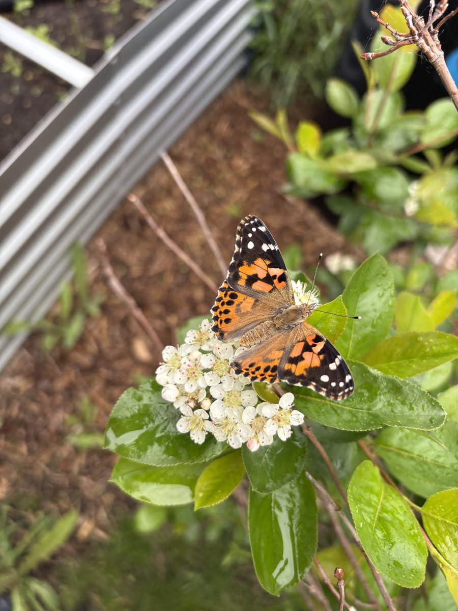 Ms. Panetta tweet media