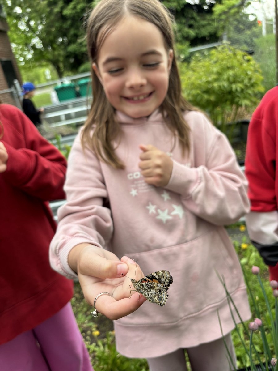 Ms. Panetta tweet media