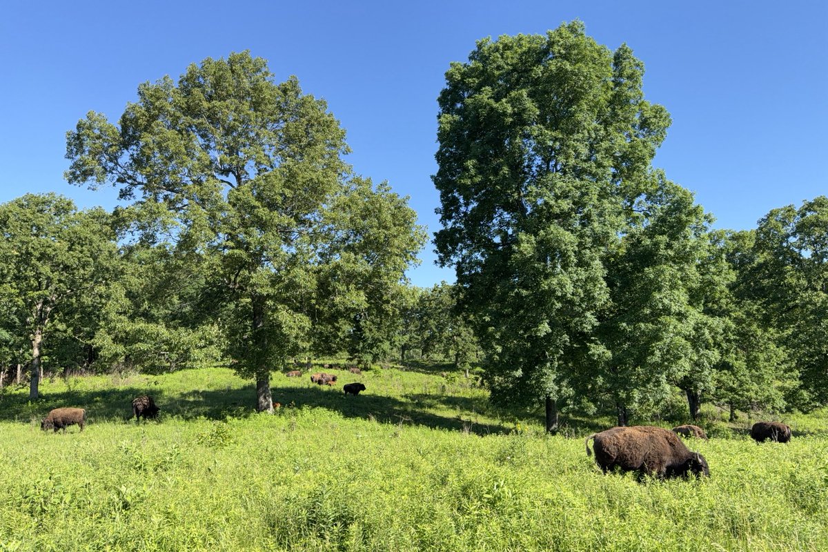 Sam Oldenburg tweet media