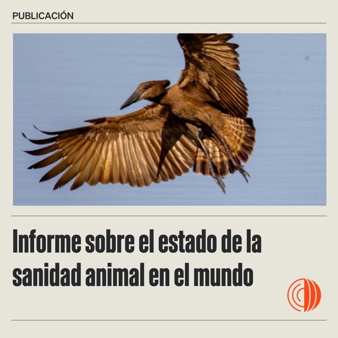 Organización Mundial de Sanidad Animal - Americas tweet media