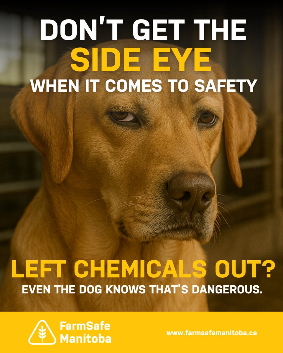 If it’s not safe for your animals, it’s not safe for you. Store chemicals properly—because even your farm dog would tell you that’s just common sense.