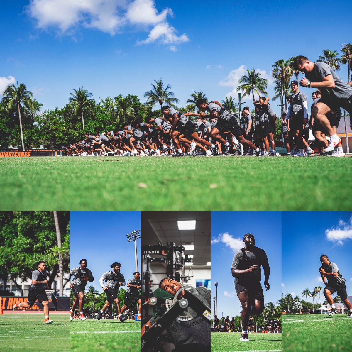 Sharpening in the Heat!  Go Canes!