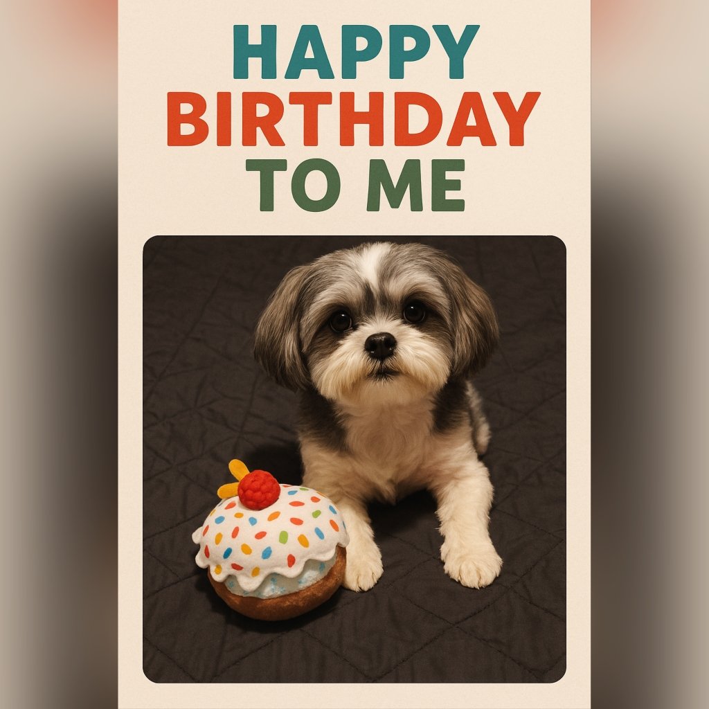 TedNTodd's tweet photo. #dogsofX #toddturns6 #halfdozen #Six  #BirthTodd #birthdayboy https://t.co/BcV7hiCx7S