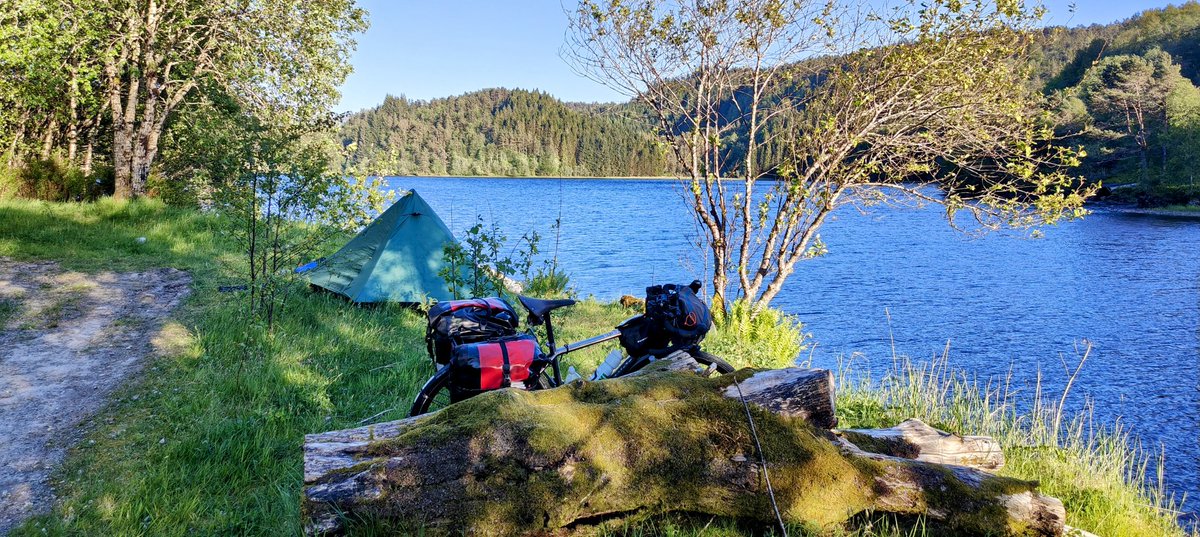 Dave Roe tweet media