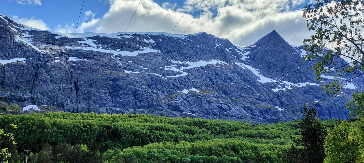 Dave Roe tweet media